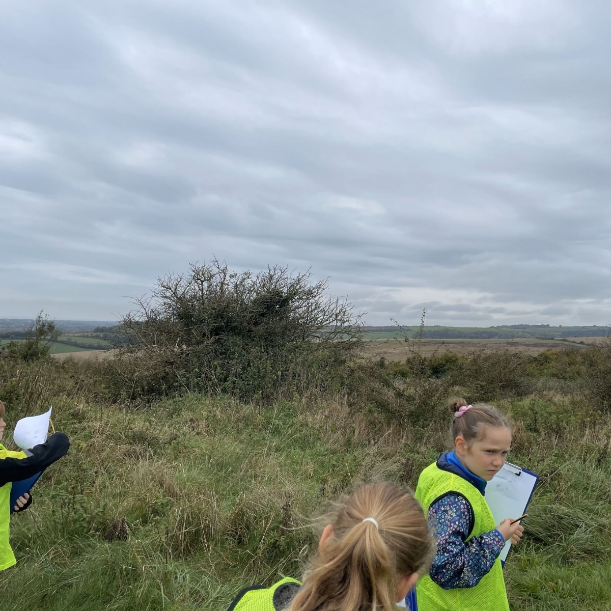 Seaside Primary School - Y4 Science Trip to Lancing Ring